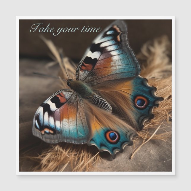 ゼブラ付き蝶デザイン体 (正面)