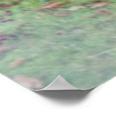 ゼブラ写真プリント ポスター (角)