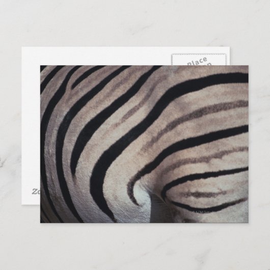 ゼブラ印刷 ポストカード (正面/裏面)