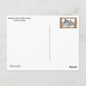 ゼブラ夫妻ファンシー夫婦 ポストカード (裏面)