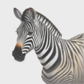 ゼブラ威厳のあるポートレートリアル野生生物アート シール (正面)