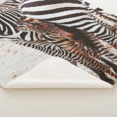 ゼブラ家 シェルパブランケット (3/4)