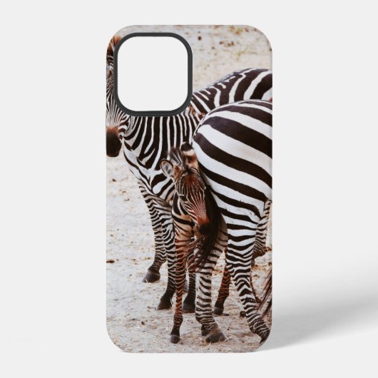 ゼブラ家 iPhoneケース (裏面)