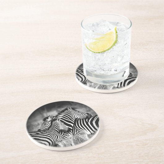 ゼブラ岬 コースター (側面)