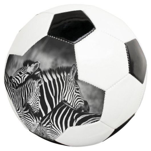 ゼブラ岬 サッカーボール (3/4)