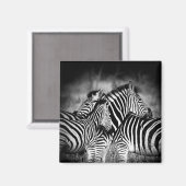 ゼブラ岬 マグネット (正面/裏面)