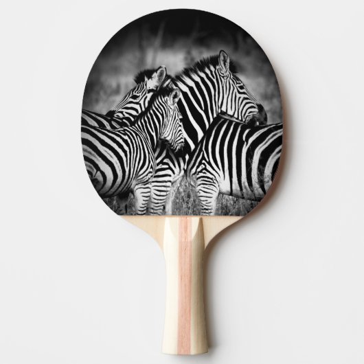 ゼブラ岬 卓球ラケット (正面)
