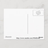 ゼブラ愛 ポストカード (裏面)