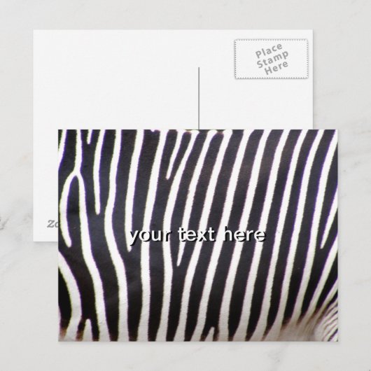 ゼブラ柄 ポストカード (正面/裏面)