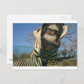 ゼブラ歯 ポストカード (正面/裏面)