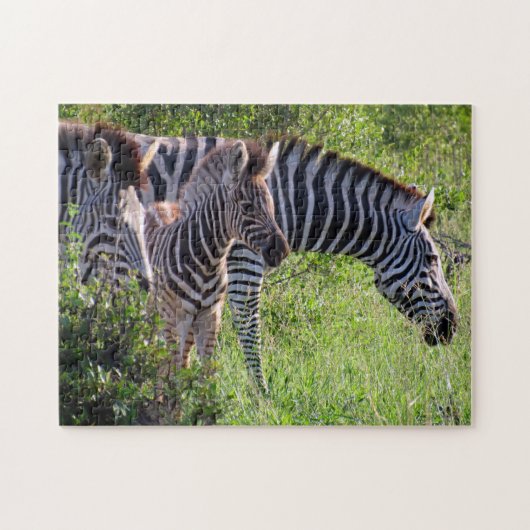 ゼブラ科 ジグソーパズル (横)