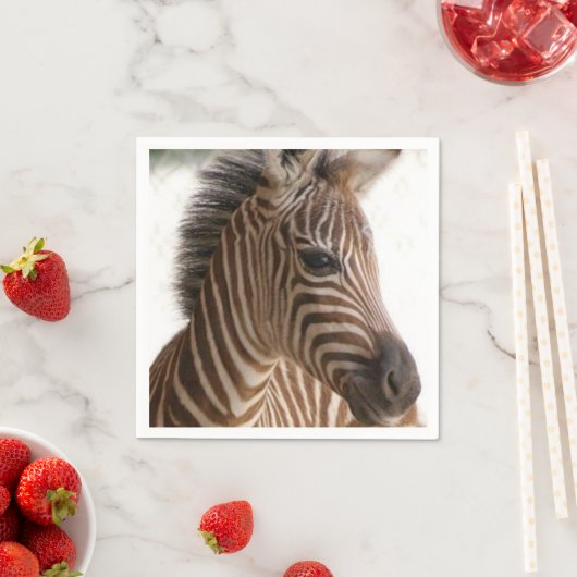 ゼブラ紙ナプキンス スタンダードカクテルナプキン (インサイチュ)