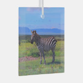 ゼブラ縞 ガラスオーナメント (正面右)