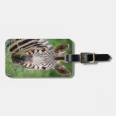 ゼブラ輪郭 ラゲッジタグ (正面横)