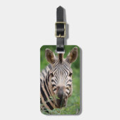 ゼブラ輪郭 ラゲッジタグ (正面縦)