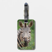 ゼブラ輪郭 ラゲッジタグ (裏面縦)