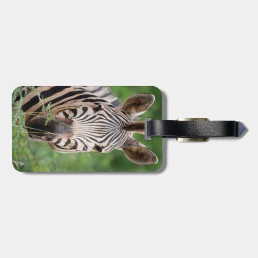 ゼブラ輪郭 ラゲッジタグ (裏面横)