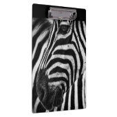 ゼブラ錯覚 クリップボード (右)