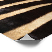 ゼブラ非表示2 ポスター (角)