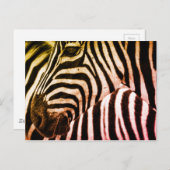 ゼブラ顔 ポストカード (正面/裏面)