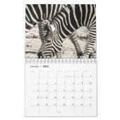 ゼブラ カレンダー (1月 2026)
