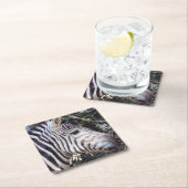 ゼブラ スクエアペーパーコースター (インサイチュ)