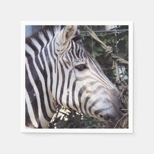 ゼブラ スタンダードカクテルナプキン (正面)