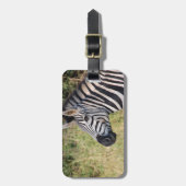 ゼブラ·ストライプ動物のアフリカ·サファリ·デスティニー ラゲッジタグ (正面縦)