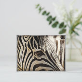 ゼブラ「ストライプ」 ポストカード (スタンド正面)