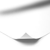 ゼブラ フォトプリント            (角)