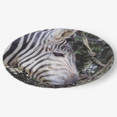 ゼブラ ペーパープレート (アングル)