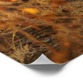 ゼブラ ポスター (角)