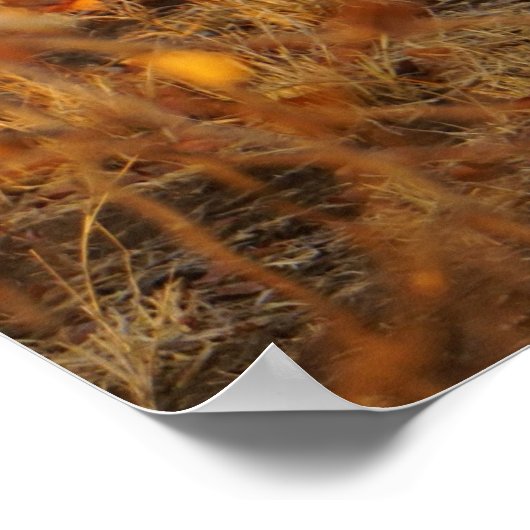 ゼブラ ポスター (角)