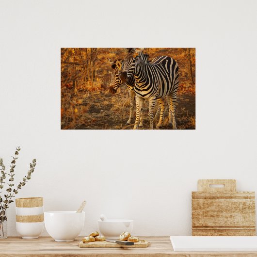 ゼブラ ポスター (キッチン)