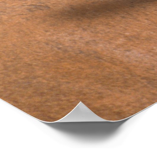 ゼブラ ポスター (角)