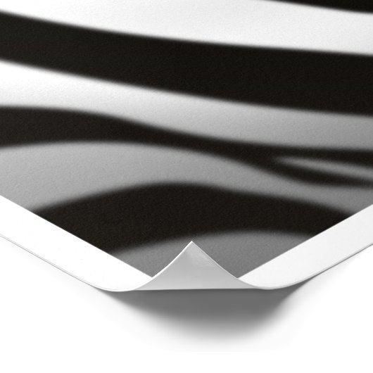 ゼブラ ポスター (角)