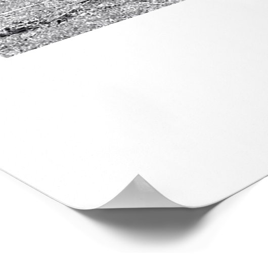 ゼブラ ポスター (角)