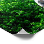 ゼブラ ポスター (角)