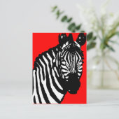 ゼブラ。 ポストカード (スタンド正面)
