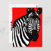 ゼブラ。 ポストカード (正面/裏面)