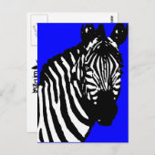 ゼブラ。 ポストカード (正面/裏面)