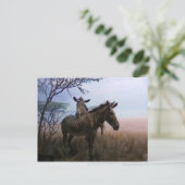 ゼブラ ポストカード (スタンド正面)