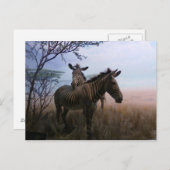 ゼブラ ポストカード (正面/裏面)