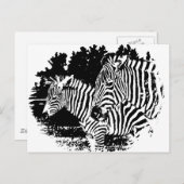 ゼブラ ポストカード (正面/裏面)