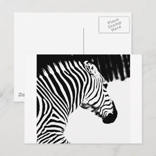 ゼブラ ポストカード (正面/裏面)
