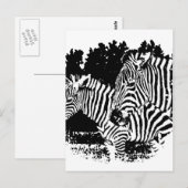 ゼブラ ポストカード (正面/裏面)