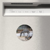 ゼブラ マグネット (インサイチュ (食洗機))