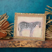 ゼブラ–1621年「民盗アルバム」より。 フォトプラーク (側面)