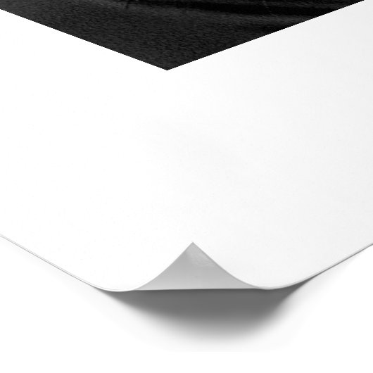 ゼブラ#1 ポスター (角)