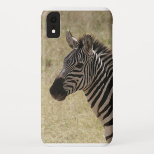 ゼブラ iPhone XRケース